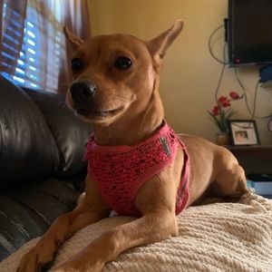 Meet your Posher, Ana